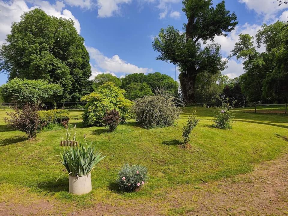 Les Gites De Recoleine Nébouzat Buitenkant foto